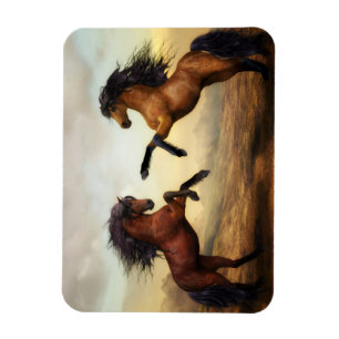 Wilde paarden magneet