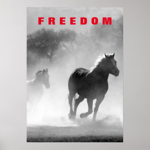 Wilde paarden Motivatie Freedom Artwork Poster