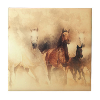 Wilde paarden Mustangs Tegeltje