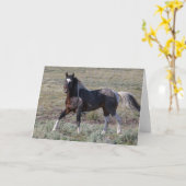 Wilde paarden na een stofbad kaart (Gele Bloem)