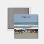 Wilde paarden OBX NC Magneet (Voorkant / Achterkant)