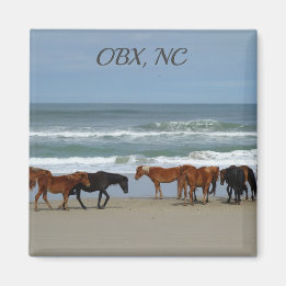 Wilde paarden OBX NC Magneet