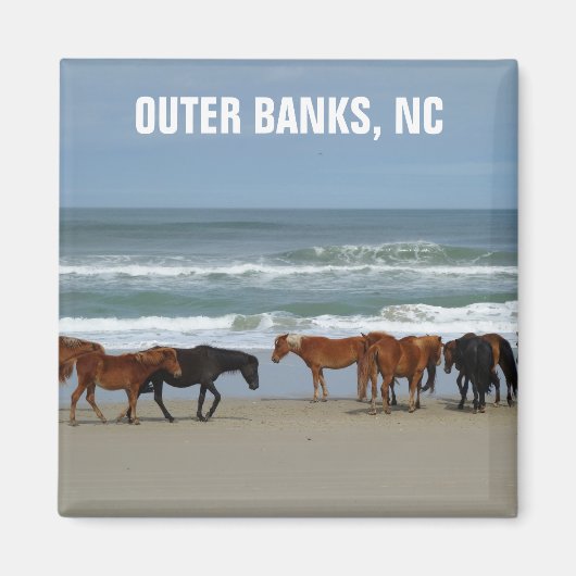 Wilde paarden Outer Banks OBX North Carolina Magneet (Voorkant)