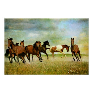 Wilde paarden perfect poster