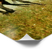 Wilde paarden perfect poster (Hoek)