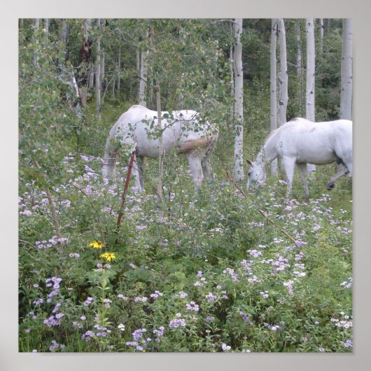 Wilde paarden poster (Voorkant)
