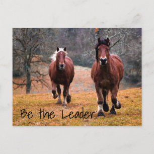 Wilde paarden Racing in Bossen Briefkaart