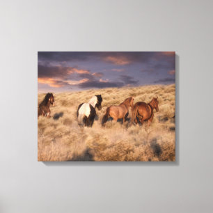 Wilde paarden rennen canvas afdruk