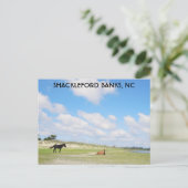 Wilde paarden Shackleford Banks North Carolina Briefkaart (Staand voorkant)