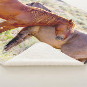 Wilde paarden sherpa deken (3/4)
