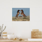 Wilde paarden Stallions vechten Poster (Keuken)