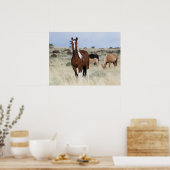 Wilde paarden, Steens-bergen Poster (Keuken)