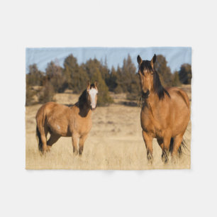 Wilde paarden, Steens Mountains Fleece Deken