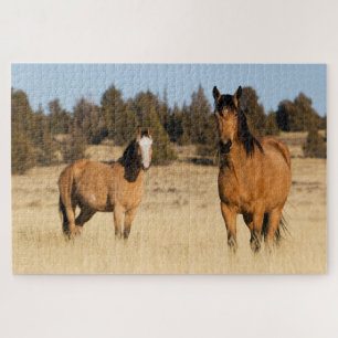 Wilde paarden, Steens Mountains Legpuzzel