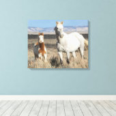 Wilde paarden thuis in het Sandwash-bekken Canvas Afdruk (Insitu (Houten vloer))