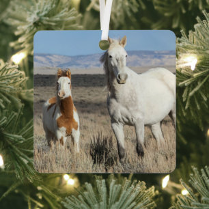 Wilde paarden thuis in het Sandwash-bekken Metalen Ornament