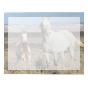 Wilde paarden thuis in het Sandwash-bekken Notitieblok