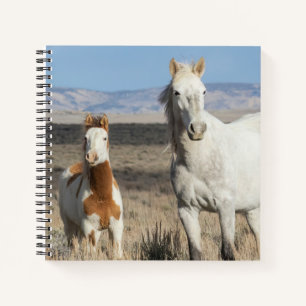 Wilde paarden thuis in het Sandwash-bekken Notitieboek