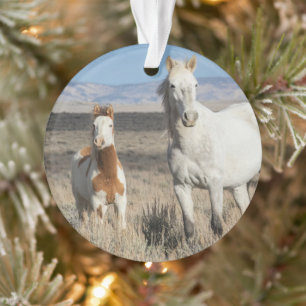 Wilde paarden thuis in het Sandwash-bekken Ornament