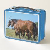 Wilde paarden uit het westen (Achterkant)