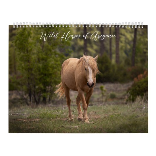 Wilde paarden van Arizona Kalender (Hoes)