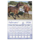 Wilde paarden van het eiland Assateague Kalender (Feb 2026)