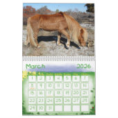 Wilde paarden van het eiland Assateague Kalender (Mar 2026)