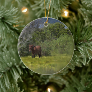 Wilde paarden van het onheilspellende keramisch si ornament