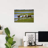 Wilde paarden van het Poster van Assateague (Thuiskantoor)