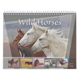 Wilde paarden van het Westen Kalender