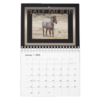 Wilde paarden van het zand-wasbekken, Colorado Kalender