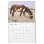 Wilde paarden van het zand- wasbekken kalender (Mar 2026)