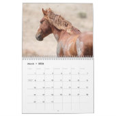 Wilde paarden van het zand- wasbekken kalender (Mar 2026)
