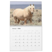 Wilde paarden van het zand- wasbekken kalender (Jan 2026)