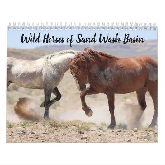 Wilde paarden van het zand- wasbekken kalender (Hoes)
