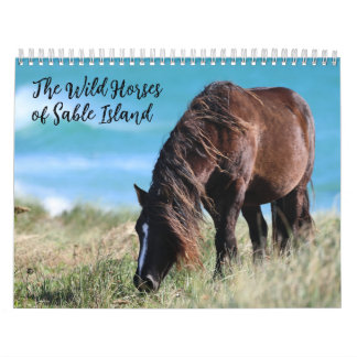 Wilde paarden van Sable Island Kalender
