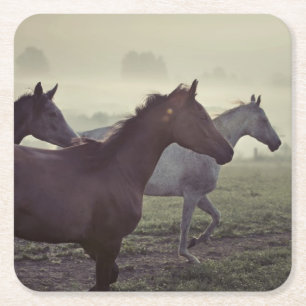Wilde paarden vierkante kartonnen onderzetter