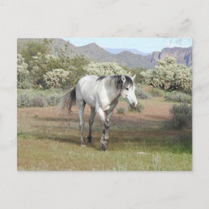 Wilde paarden, wilde dieren, briefkaart