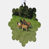 wilde paardenkudde ornament kaart (Links)