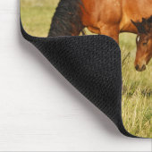 Wilde paardenmoeder en koudweiden muismat (Hoek)