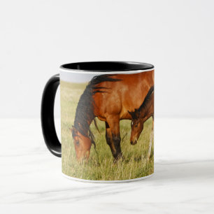 Wilde paardenmoeder en veulen grazen mok