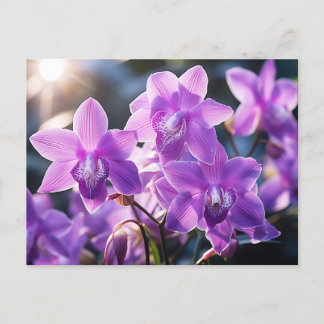 WILDE PAARSE ORCHIDEE UIT DOMINICA BRIEFKAART