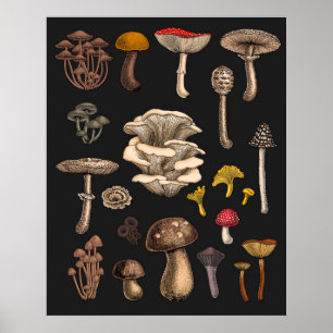 Wilde paddenstoelen op grafietzwart poster