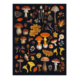 Wilde paddenstoelen op zwart perfect poster