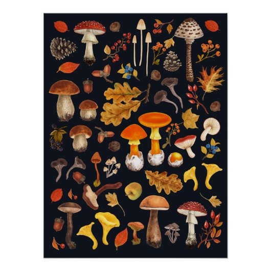 Wilde paddenstoelen op zwart perfect poster (Voorkant)