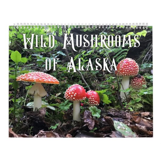 Wilde paddenstoelen van Alaska - Grote kalender (Hoes)