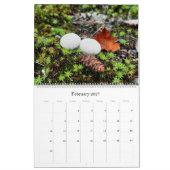 Wilde paddenstoelen van Alaska - Grote kalender (Feb 2027)