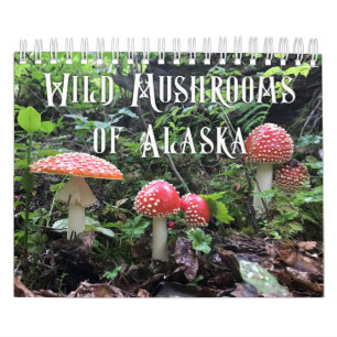Wilde paddenstoelen van Alaska - Klein kalender