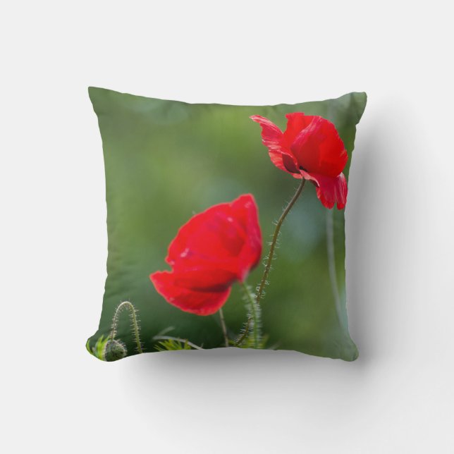 Wilde papaver kussen (Voorkant)