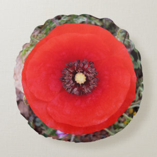 Wilde papaver rond kussen